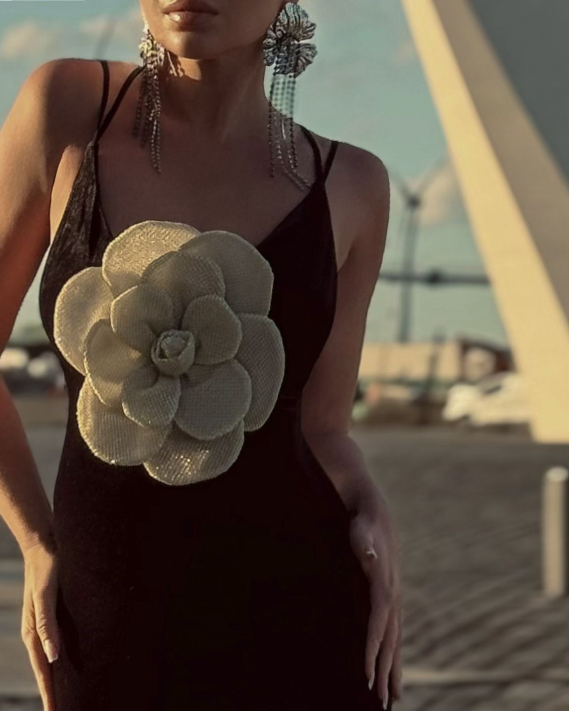 The Noir Bloom Gown with Sculpted Petal Detail - Plume & Peak